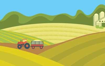 How a Collegiate Network is Helping Rural Students Survive