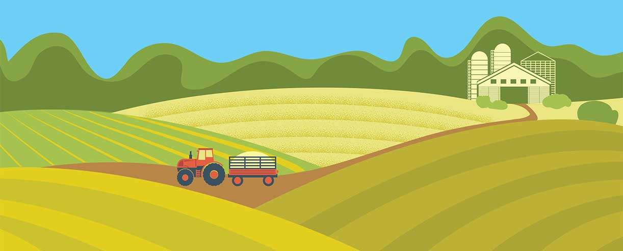 Collegiate Network Helping Rural Students Survive