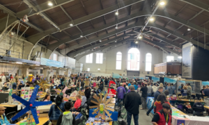 Collegiate Edu-Nation