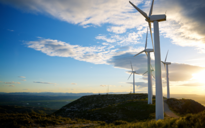 Empowering Rural Futures: CEN’s P-20 Rural Network Addresses Wind Energy Workforce Needs in West Texas
